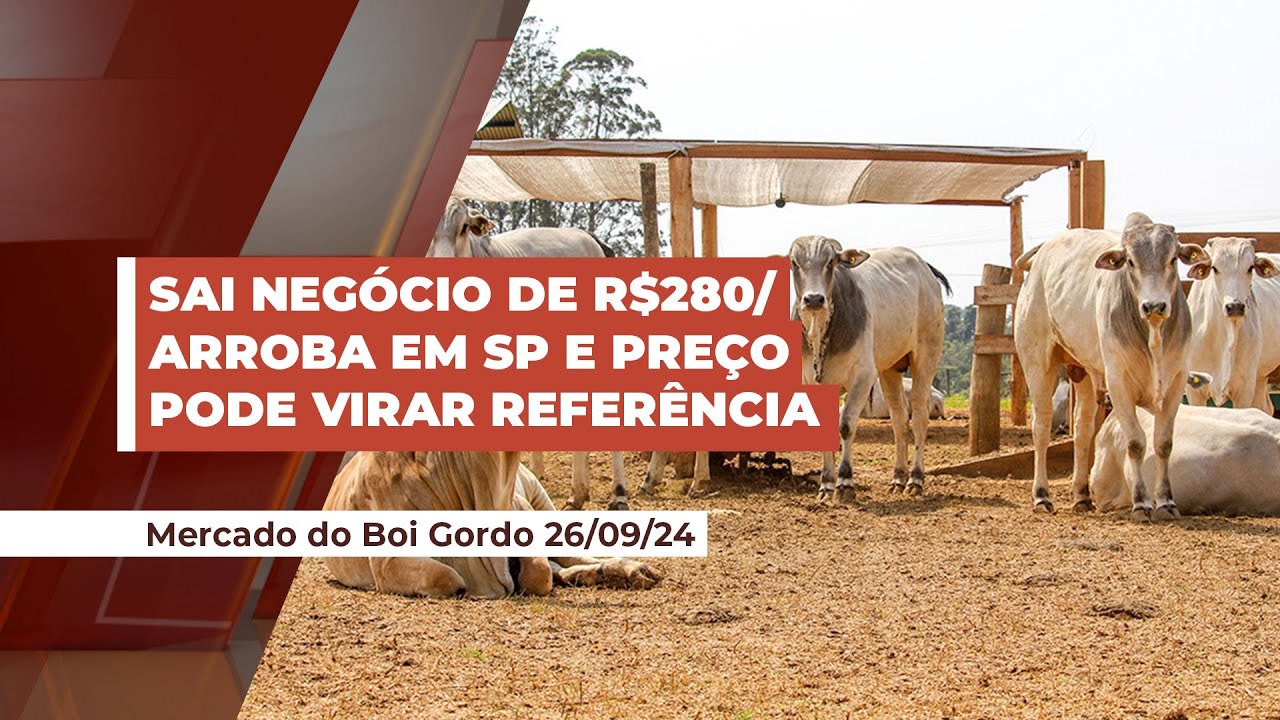 Boi de R$280 por arroba já é negociado em SP e preço pode virar referência