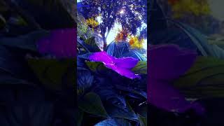 Junkie XL | Dealing with the Roster || Daily Walk Look...| 2024 08 10 | Favourite Soundtracks - F