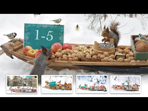 The Traveling Bird Feeder 1-5 | Relax With Squirrels & Birds ( 6 Hours )