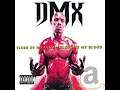 DMX We Don't Give A Fuck Feat. Styles P & Jadakiss