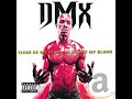 DMX We Don't Give A Fuck Feat. Styles P ...