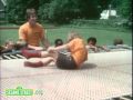 Sesame Street Gymnastics