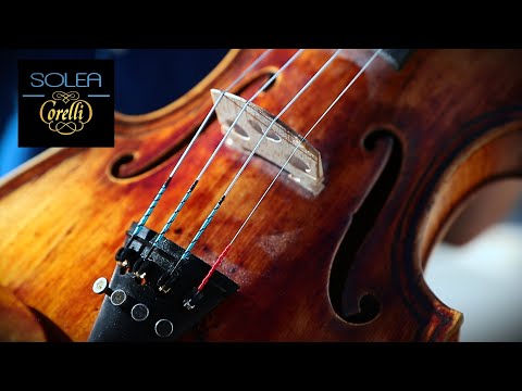 Комплект струн для скрипки Savarez Corelli Solea Medium (E-ball end)