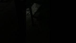 思い出墓場