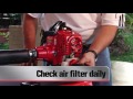 Shindaiwa B450 Bruschcutter Overview
