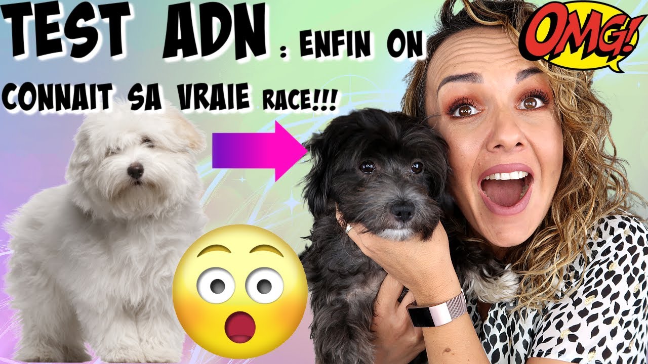 😮😱TEST ADN CHIEN : OMG Grosse surprise!!!