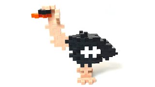 Ostrich