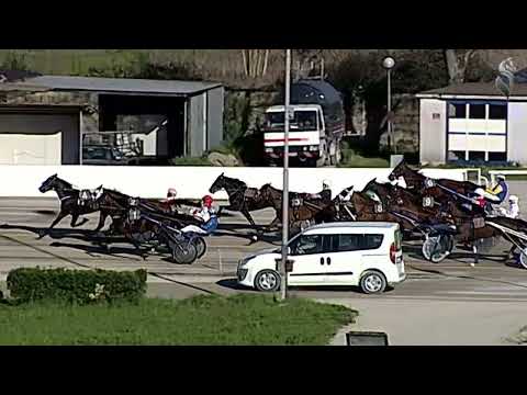 Aversa trotto 18 Marzo 2023 - 5° Corsa