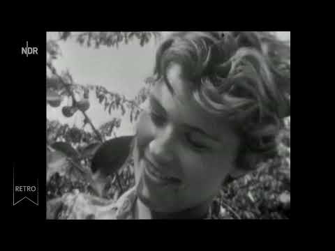 Diesseits und jenseits der Zonengrenze: Zwangskollektivierung der Landwirtschaft in der DDR Doku