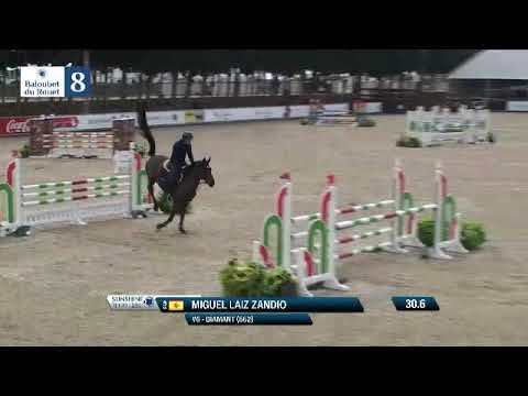 Diamant (Diarado x Cassini II) 6yo class Sunshine Tour February 2021 (SOLD)