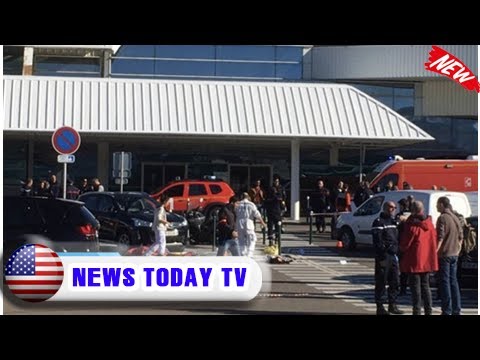 Shooting at bastia airport in corsica, one dead multiple injured after paris flight lands | News To