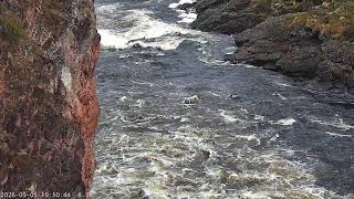 オウランカ国立公園 キウタコンガス急流