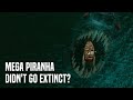 What If Mega Piranha Didn T Go Extinct