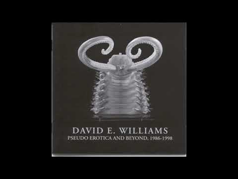 David E. Williams - Wotan Rains On A Plutocrat Parade