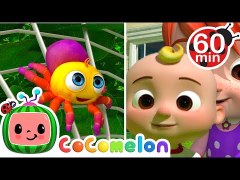 Helping Itsy Bitsy Spider | 1 Hour of CoComelon Animal Time - Learning with Animals