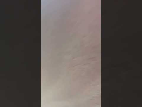 Hester 1957 Barbour Silver Clipper update on floors