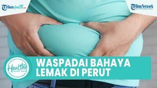 Alami Perut Buncit akibat Penumpukan Lemak Bisa Picu Penyakit: Kurangi Stres & Konsumsi Serat