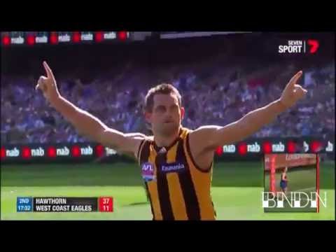 2015 AFL Grand Final - Luke Hodge Goal - Hawthorn Hawks vs West Coast Eagles