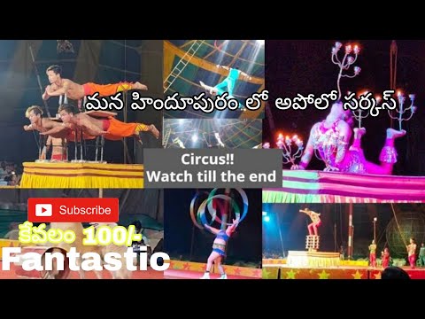 Circus | Dangerous and Thrilling Acts | Apollo Circus Show now at Hindupur
