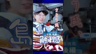さとう氏、島に触る 父島後 #さとうさおり