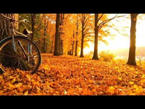 SORINA VÎIU  - Hai toamnă 