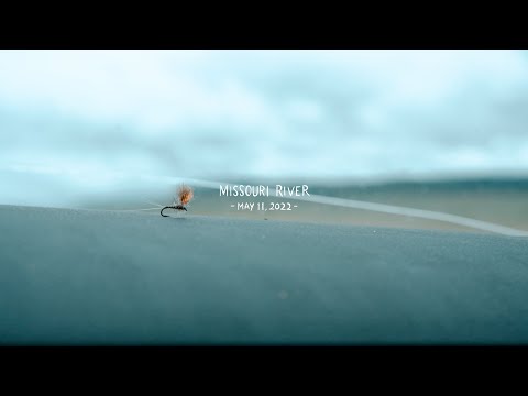 BWO Hatch On The Missouri River | Jack Lope Dry Fly Rod
