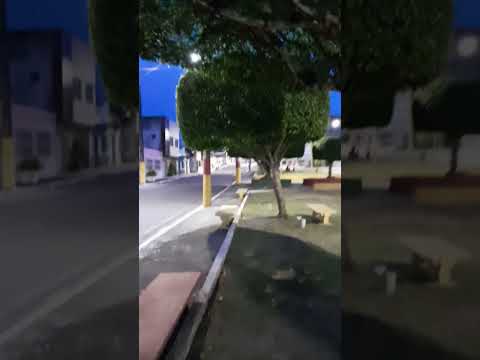 SOBRENATURAL: Cidade ITAPÉ Sul Bahia, Cultural  Do Nordeste #itapé #nordeste #viralvideios #shorts