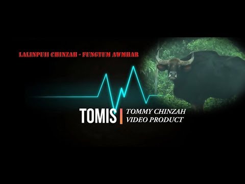 Lalinpuii Chinzah - Fungtûm awmhâr (Sele)