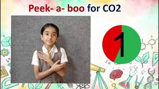 Ballooning Ideas and Bubbling Curiosity!