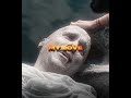 I VE MISSED YOU SO MUCH GORR Edit VØJ X Narvent Memory Reboot Slowed