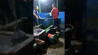 Download lagu SUMUR KEJAYAAN GUNUNG JATI CIREBON #Shorts mp3