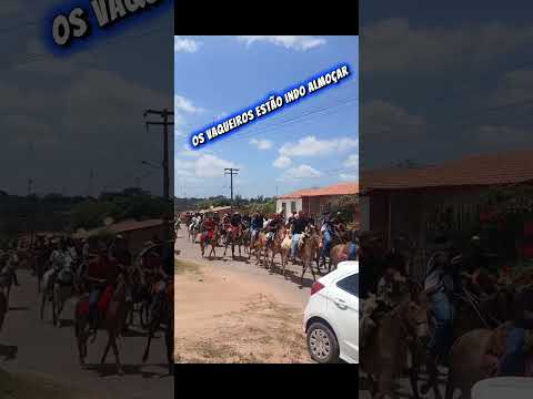desfile da bicharada em vitorino freire Maranhão