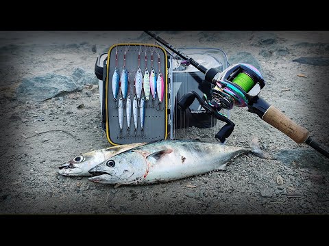 **MAJOR CRAFT JIGPARA MICRO 15G** -- Micro Shore Jigging for Multi-Species! (San Diego Bay)