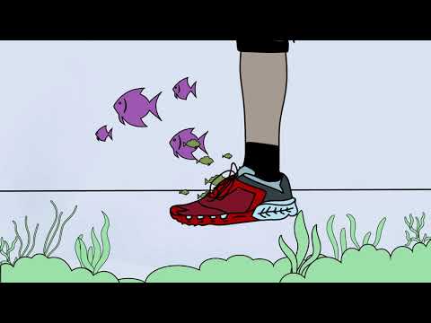 The North Face Shoes Animation (2019)