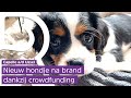 Mevrouw Scheltens krijgt hondje Bono nadat vorige omkwam bij brand