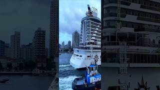 MSC SEAVIEW  navio transatlantico cruise cruzeiro  santos brasil @cruzeiros2025  2025  #shorts