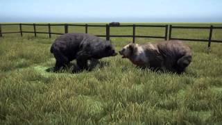 Far cry 4 animal fights
