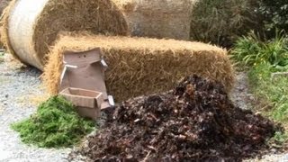 The right way to mulch your vegetables and trees / For proper PH !