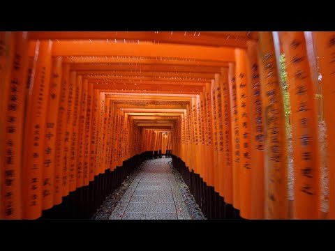 Kyoto-Japan  Fushimi Inari-Taisha Shrine   Heavy rain walk