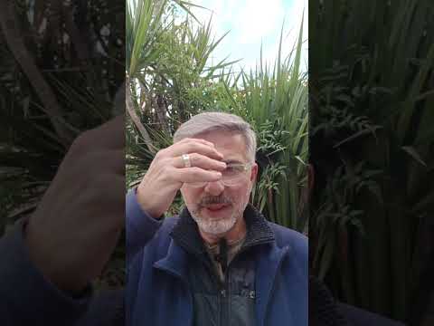 Evangelio del Nuestro Señor Jesucristo Con el Padre Fabian Esteban Oliva. 02/06/26