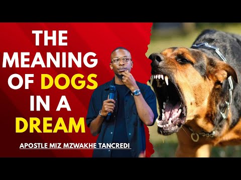 The Meaning Of Dogs In A Dream - APOSTLE MIZ MZWAKHE TANCREDI