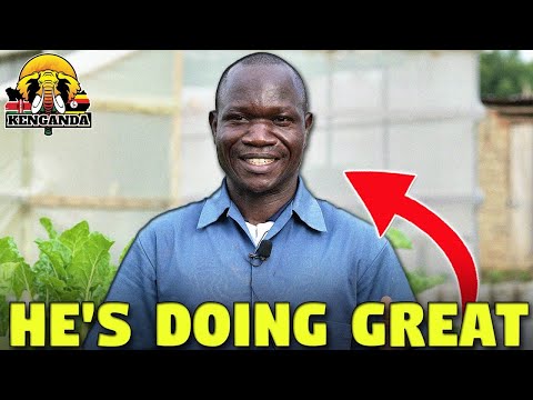 , title : 'How Vegetable Seedling Production Can Turn You Create A Great Farming Business (Lems Farm)'