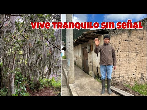 Vive TRANQUILO alejado de TODO y cuída de un bosque MISTERIOSO 🥺📵 / Josué y Elie