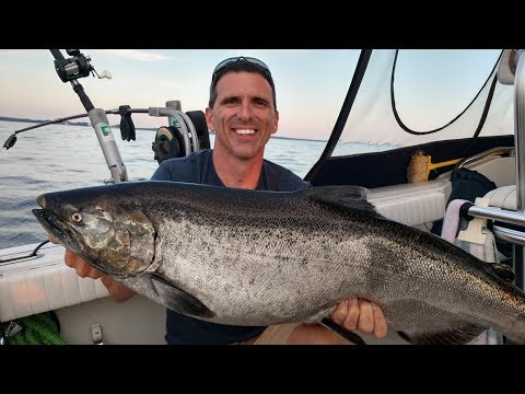 MONSTER KING SALMON ON LAKE MICHIGAN!