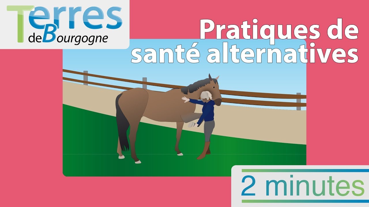 Osthéopathie, kinésologie, reiki : une vidéo de  minutes pour comprendre comment les éleveurs soignent leurs animaux