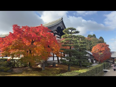 Tofuku-ji Temple Kyoto dicembre 2024