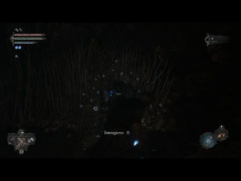 Lords of the Fallen_Der Fleischsammler