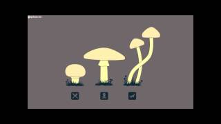 Infected Mushroom - Savant On Mushrooms Clean Bass Boost