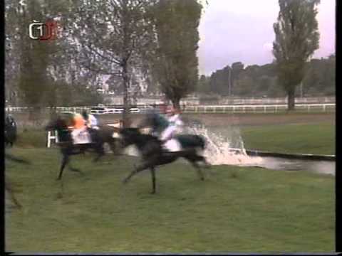 Velká Pardubická 1997 Vronsky