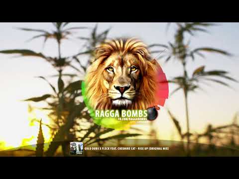 Gold Dubs & Fleck feat. Cheshire Cat - Rise Up (Original Mix)